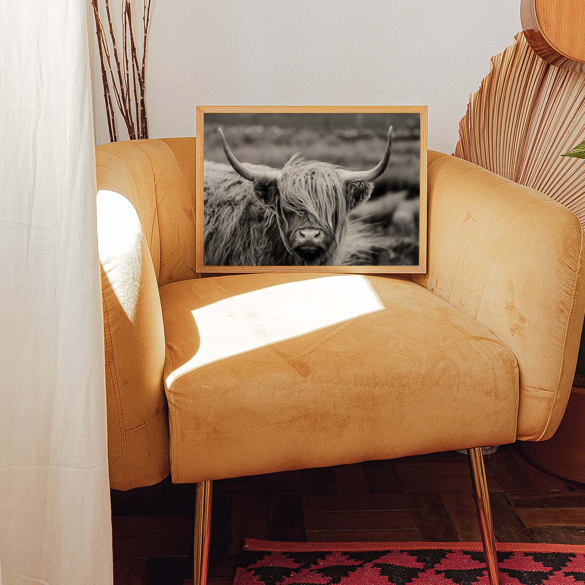 Scottish Highland Cattle Wall print