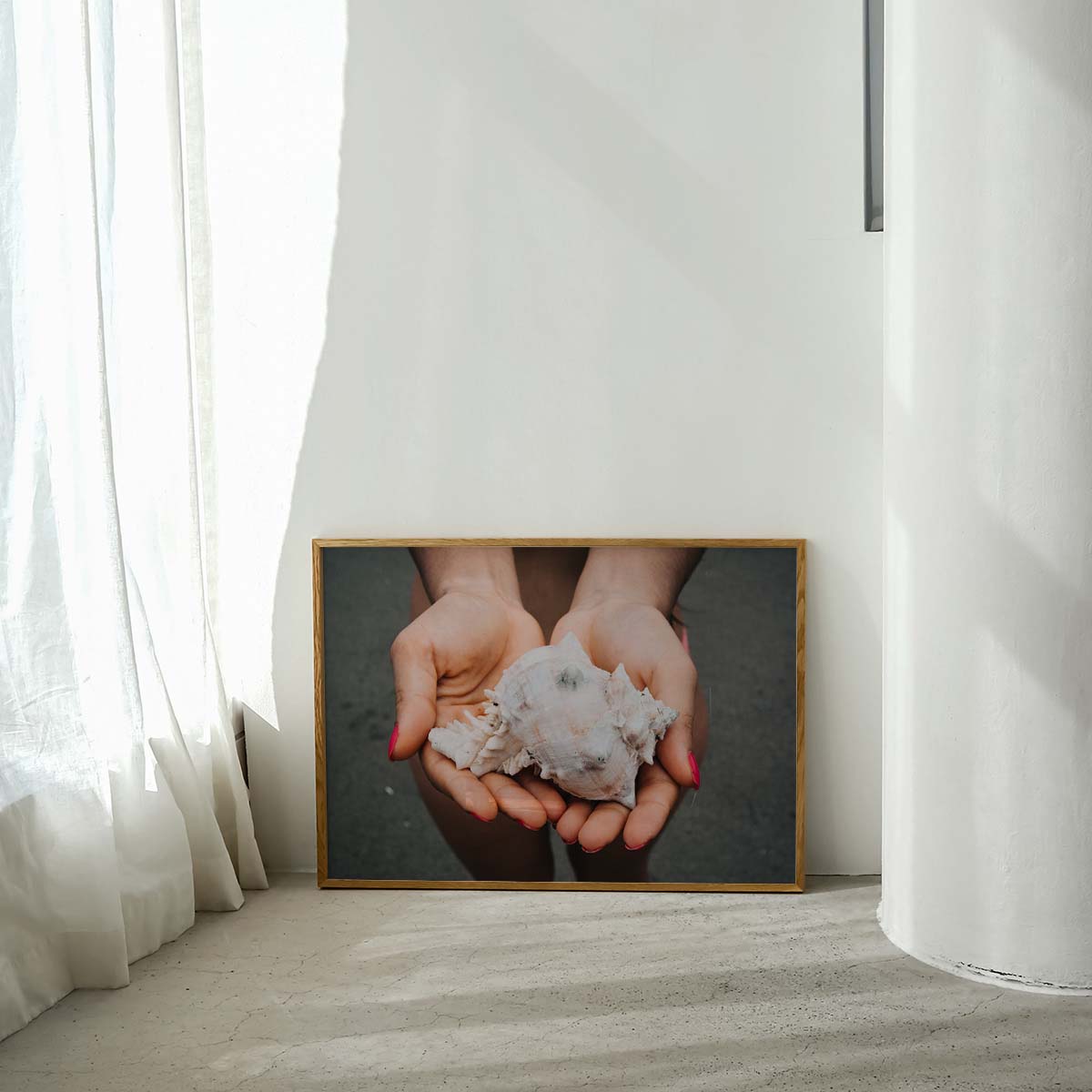 White Shell Wall print