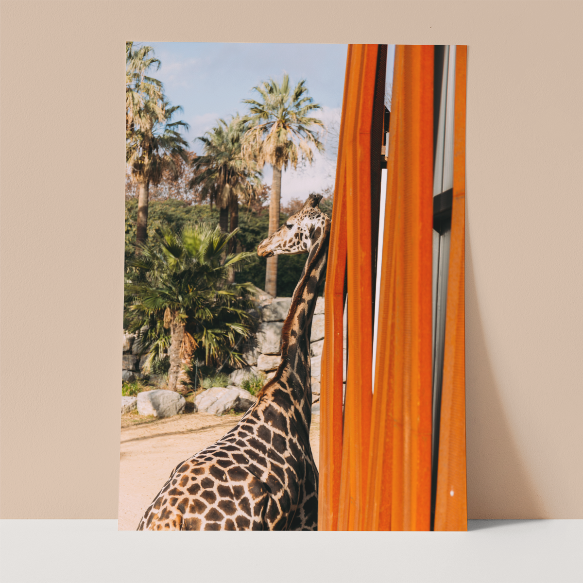 Leaning Giraffe Wall print