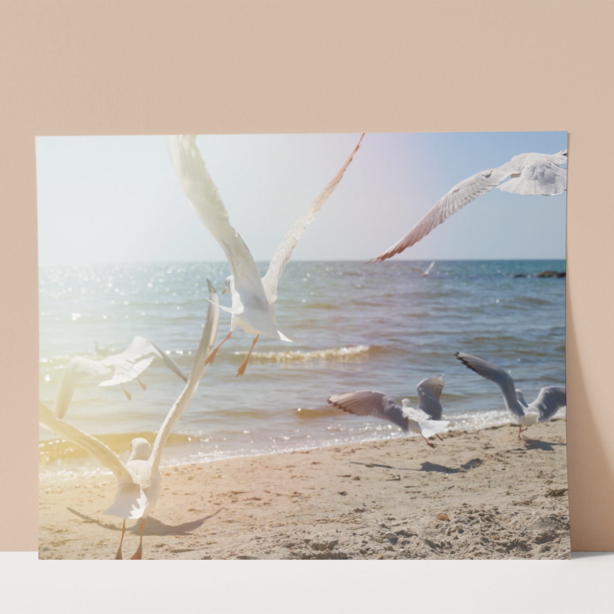 Seagulls Wall print