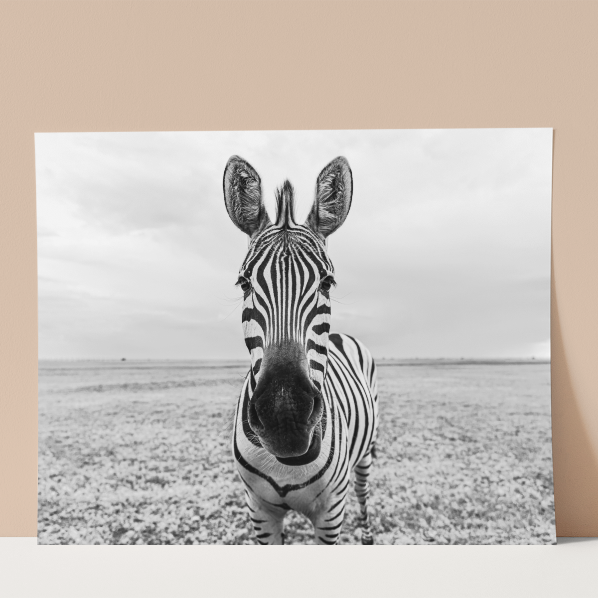 Zebra Portrait Wall print