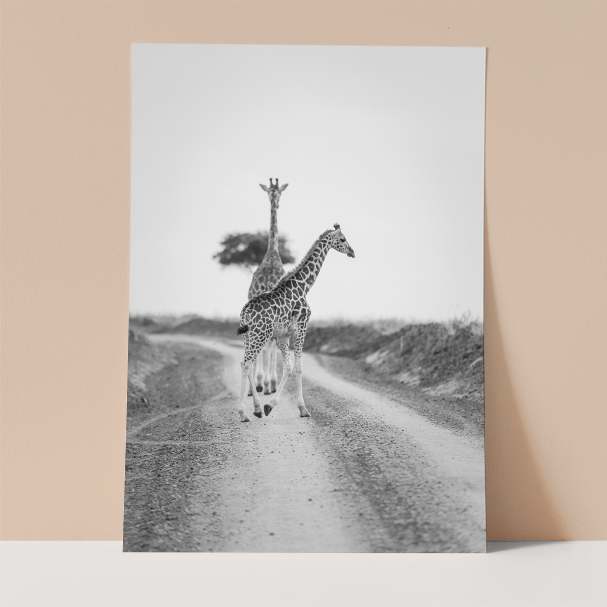 Two Giraffes Wall print
