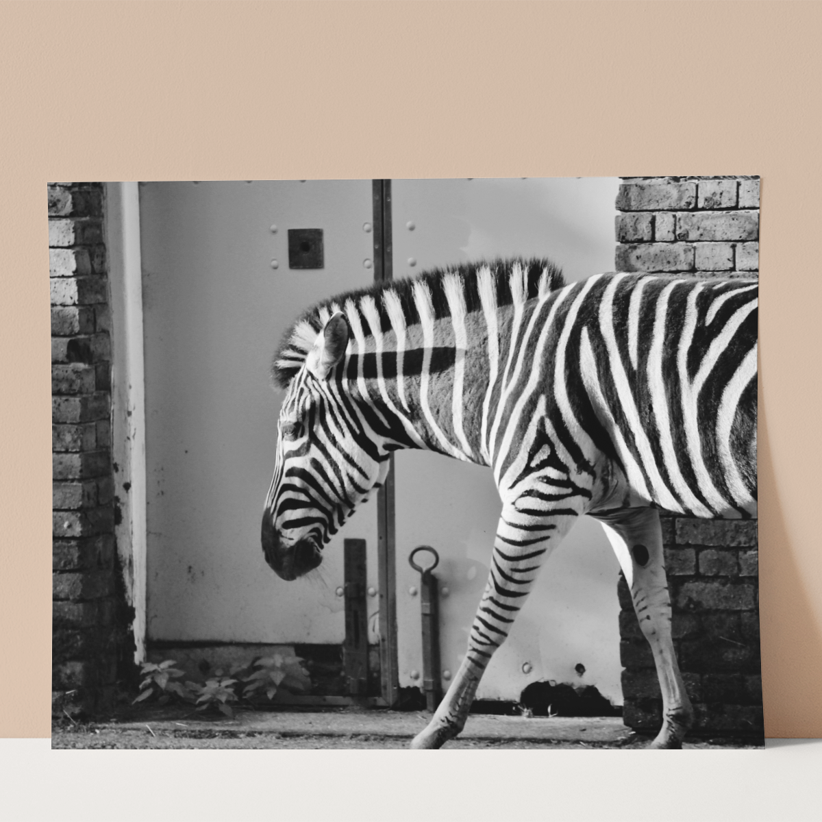Stripes in Monochrome Wall print