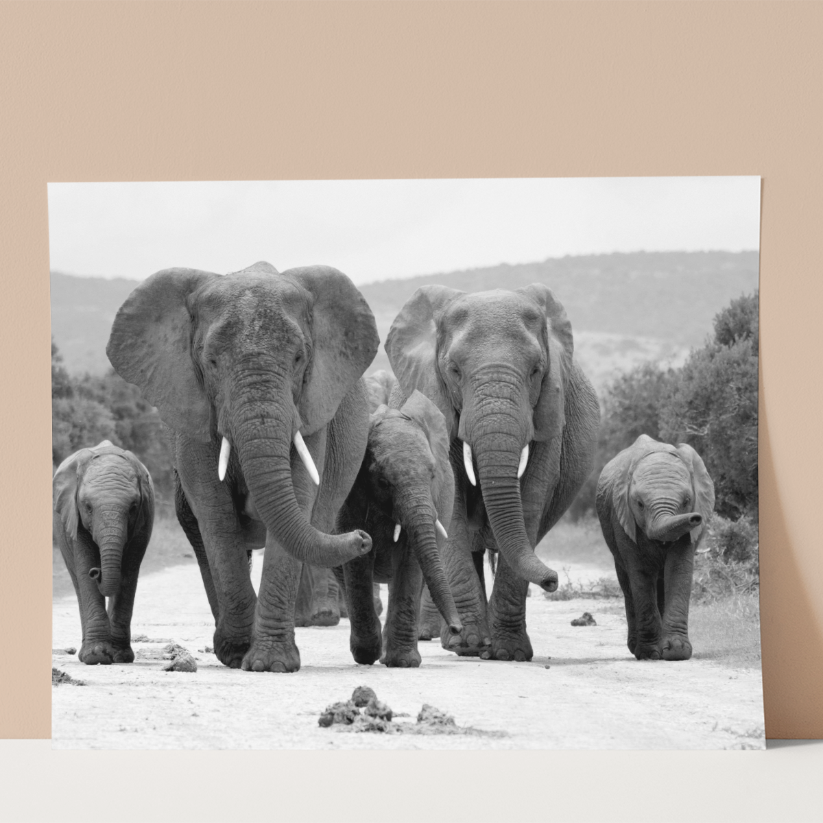 Herd of Elephants Wall print