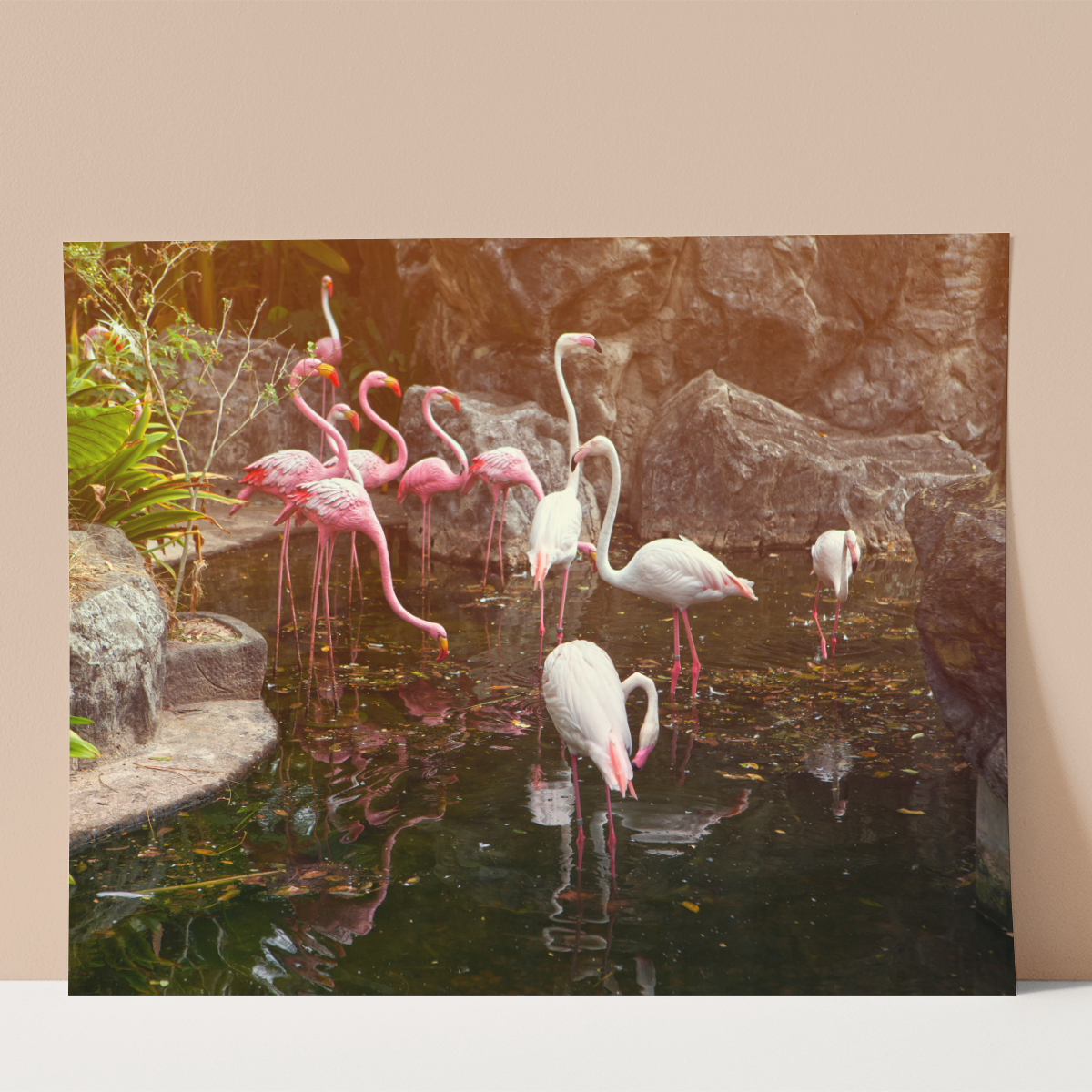 Pink Flamingos Wall print