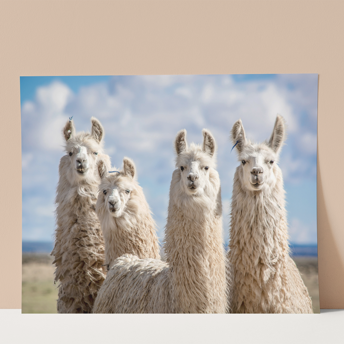 Animals of Argentine North Wall print