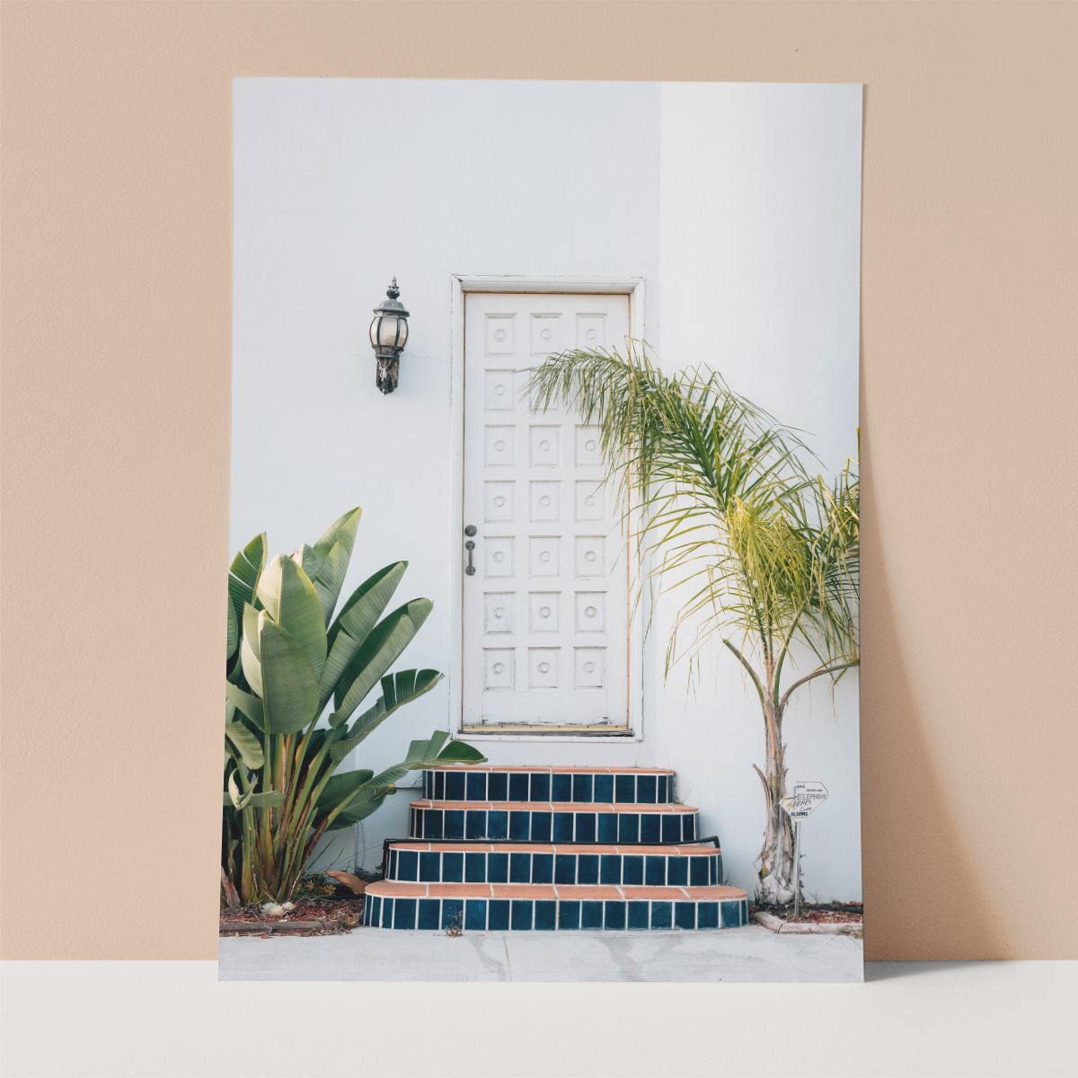 Beautiful Door in Naples Wall print