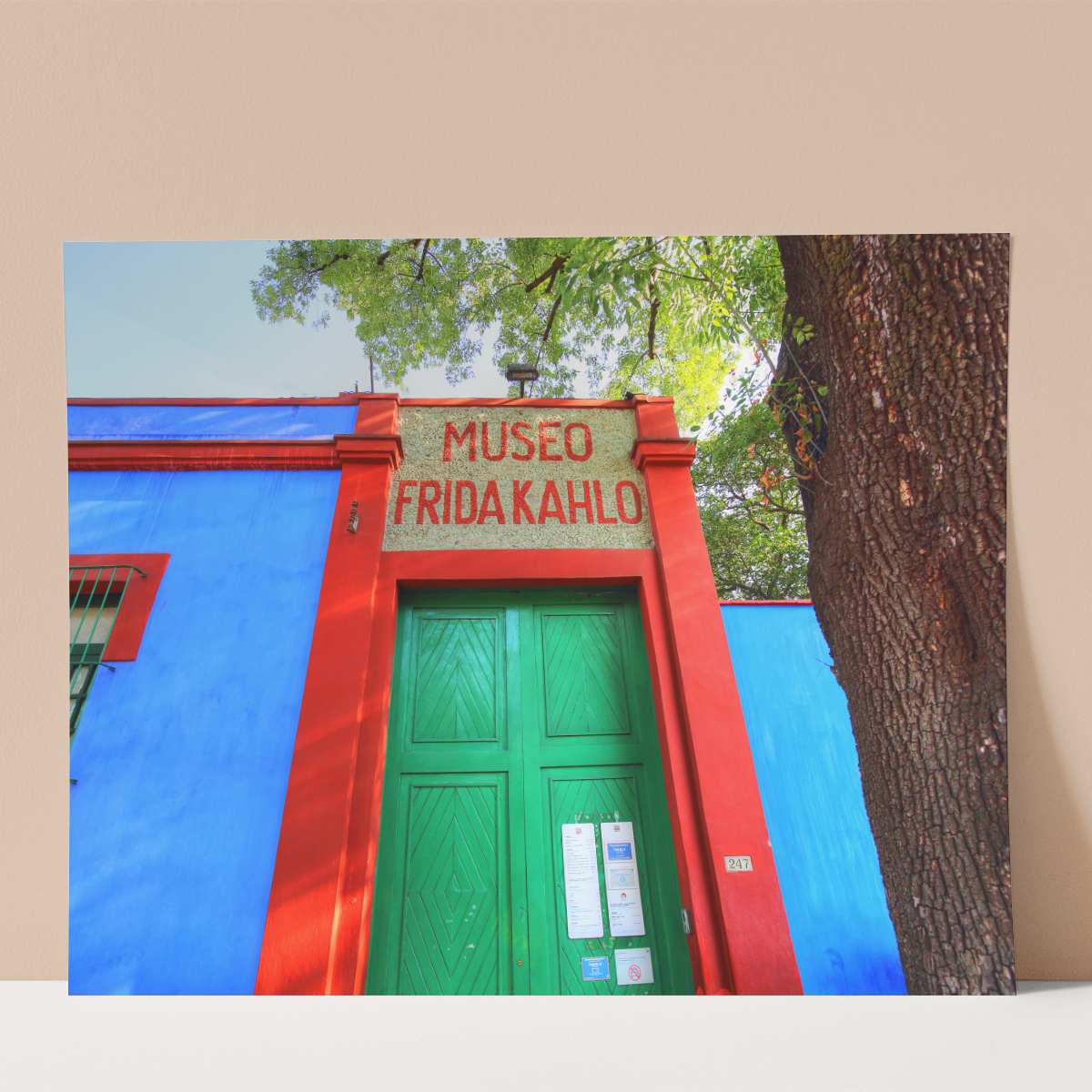 Frida Kahlo Wall print