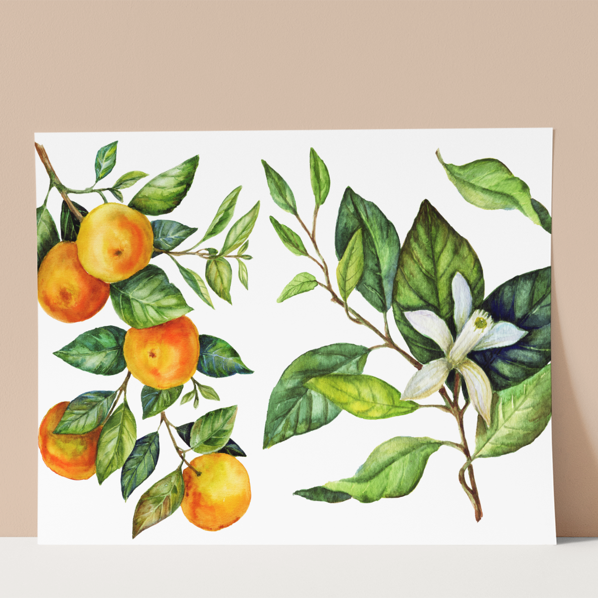 Vintage Bloom Wall print